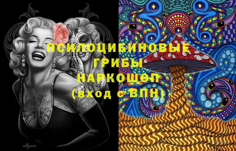 Галлюциногенные грибы Psilocybe  как найти наркотики  Заозёрный 